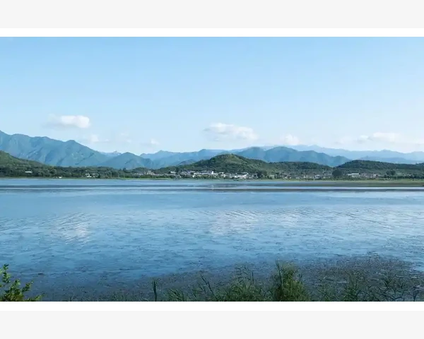 探索心热脾胃虚：症状与调理方法